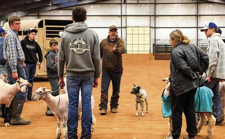 Lamb exhibitors recently prepare for the 2023 Childress County Youth Project show, which will be held Friday, Jan. 13 and Saturday, Jan. 14 at the Mashburn Event Center and Arena. Photo by Larissa Detwiler