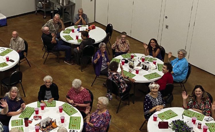 Wellington seniors partake in bingo night