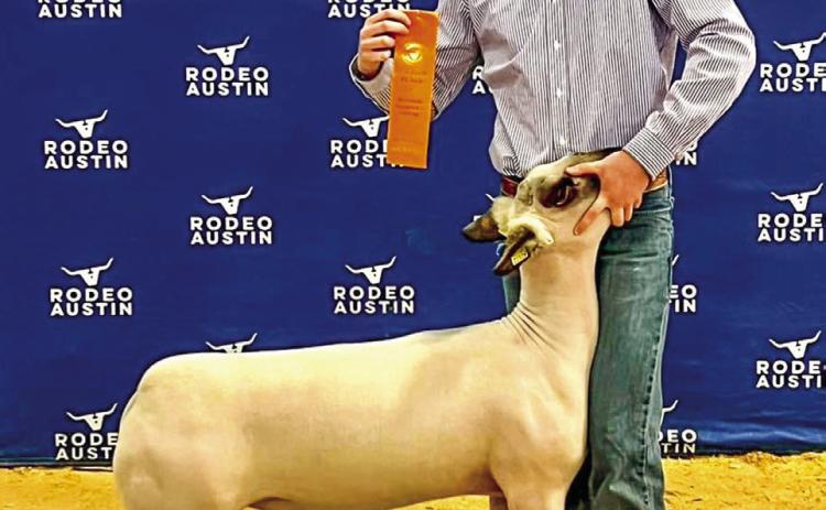 Memphis High School senior Carson Smith recently received eighth in his class with his medium wool cross at the Rodeo Austin Livestock Show. Smith, the son of Nathan and Trisha Smith, is involved in 4-H; FFA; Family, Career and Community Leaders of America (FCCLA); and One Act Play. Courtesy Photo