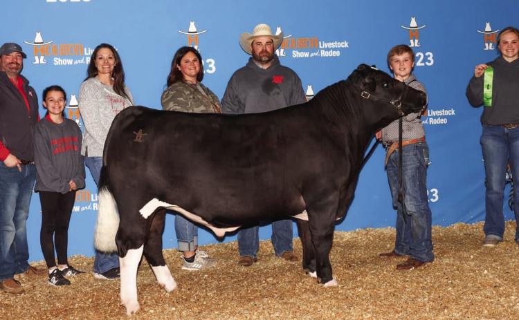 Wellington Elementary School fifth-grader Kane Waters exhibits his sixth-place lightweight Maine-Anjou steer at the recent 2023 Houston Livestock Show and Rodeo, which took place during Spring Break. From left, Wellington FFA Advisor Drew Taylor, Kynzlea Taylor, Chandi Taylor, Landey Waters, B.J. Waters, Kane Waters, Briley Waters. Courtesy Photo